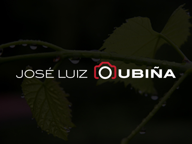 José Luiz Oubiña
